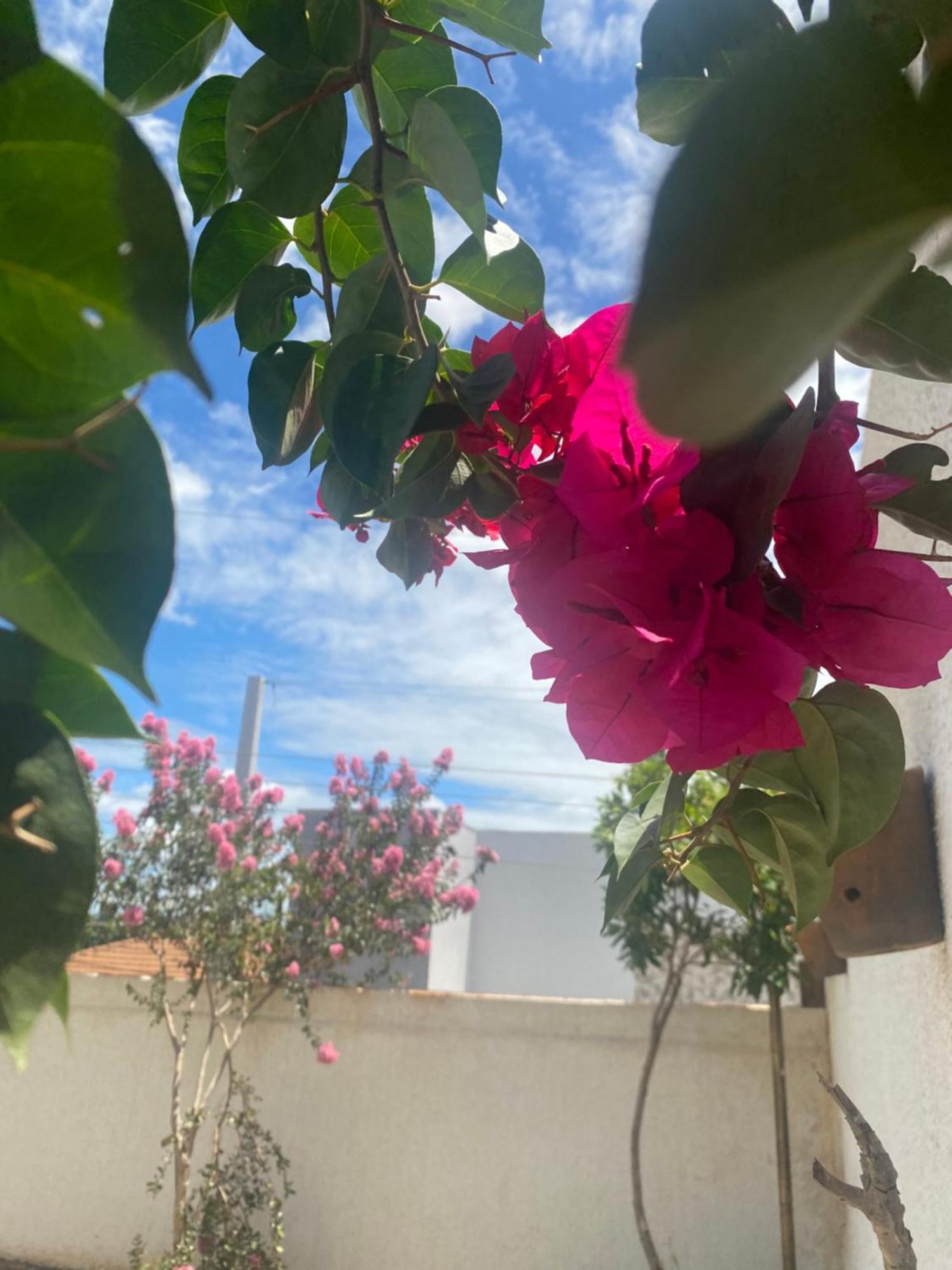 Queiroz Palace Hotel Siqueira Campos Εξωτερικό φωτογραφία