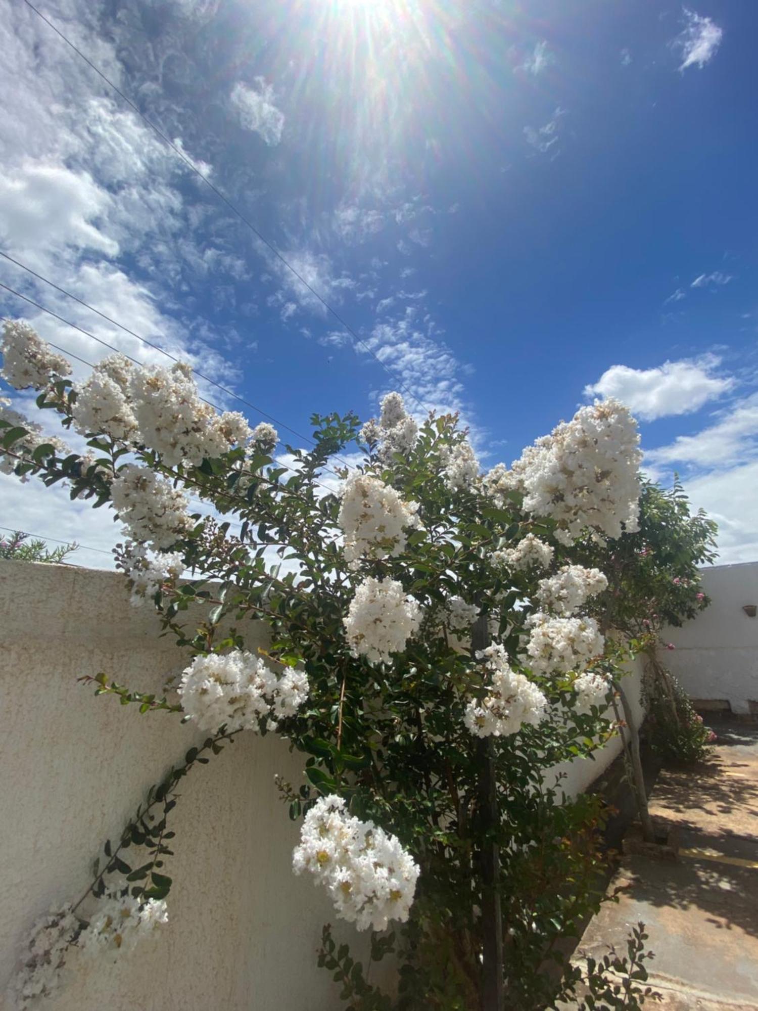 Queiroz Palace Hotel Siqueira Campos Εξωτερικό φωτογραφία